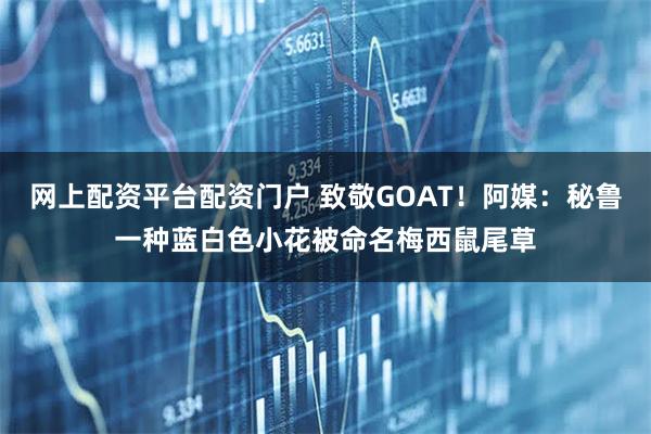 网上配资平台配资门户 致敬GOAT！阿媒：秘鲁一种蓝白色小花被命名梅西鼠尾草